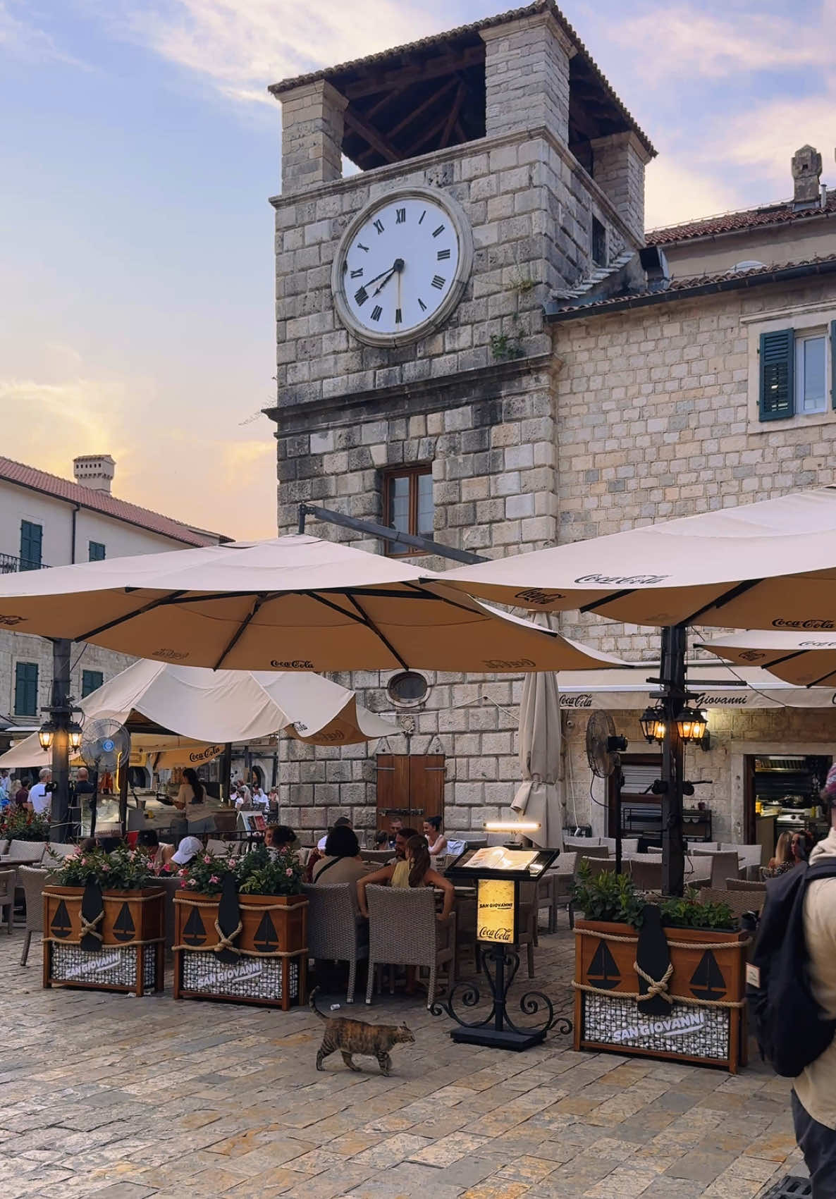 Kotor Old Town (העיר העתיקה קוטור)