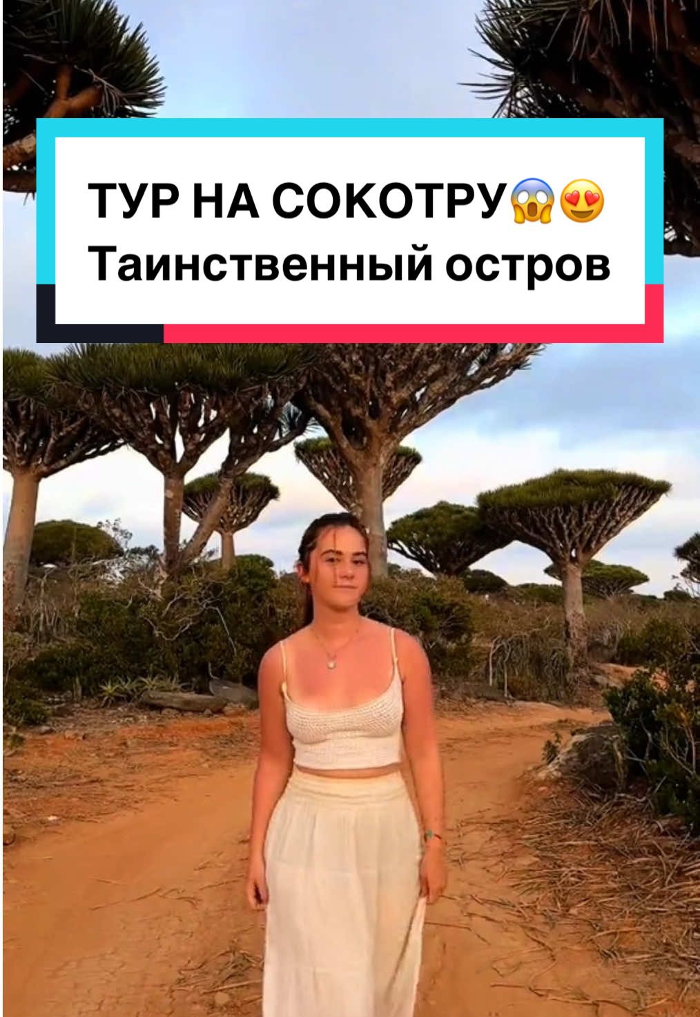 Кроноборг и острова остров Готланд — Фаергорнд (Visby, Gotland)