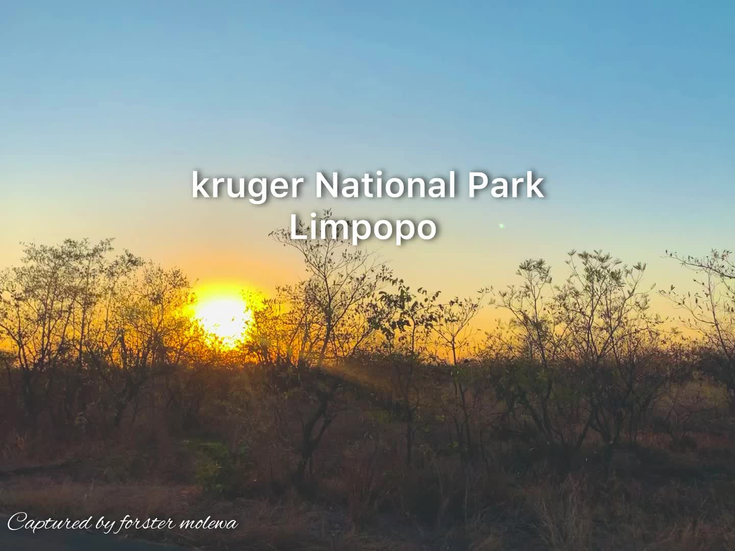 Kruger National Park