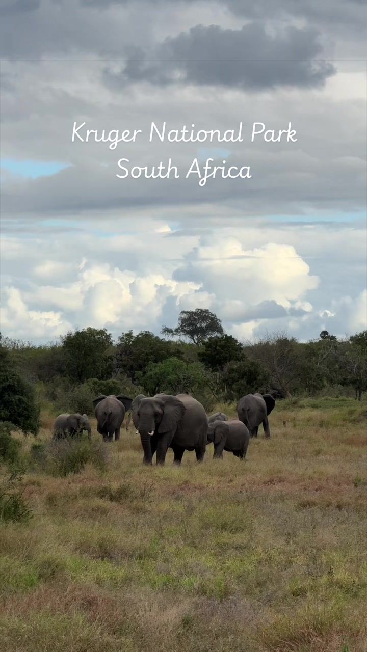 Kruger National Park