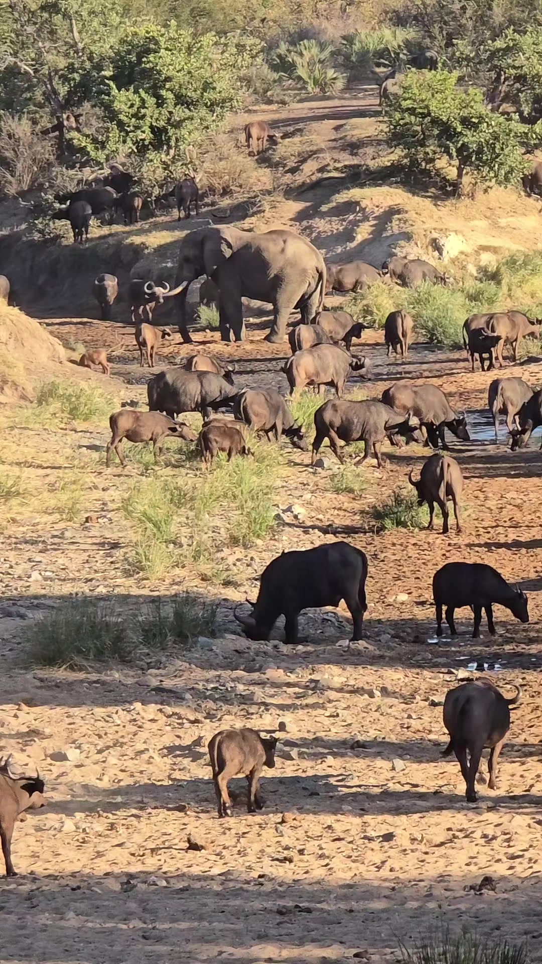 Kruger National Park