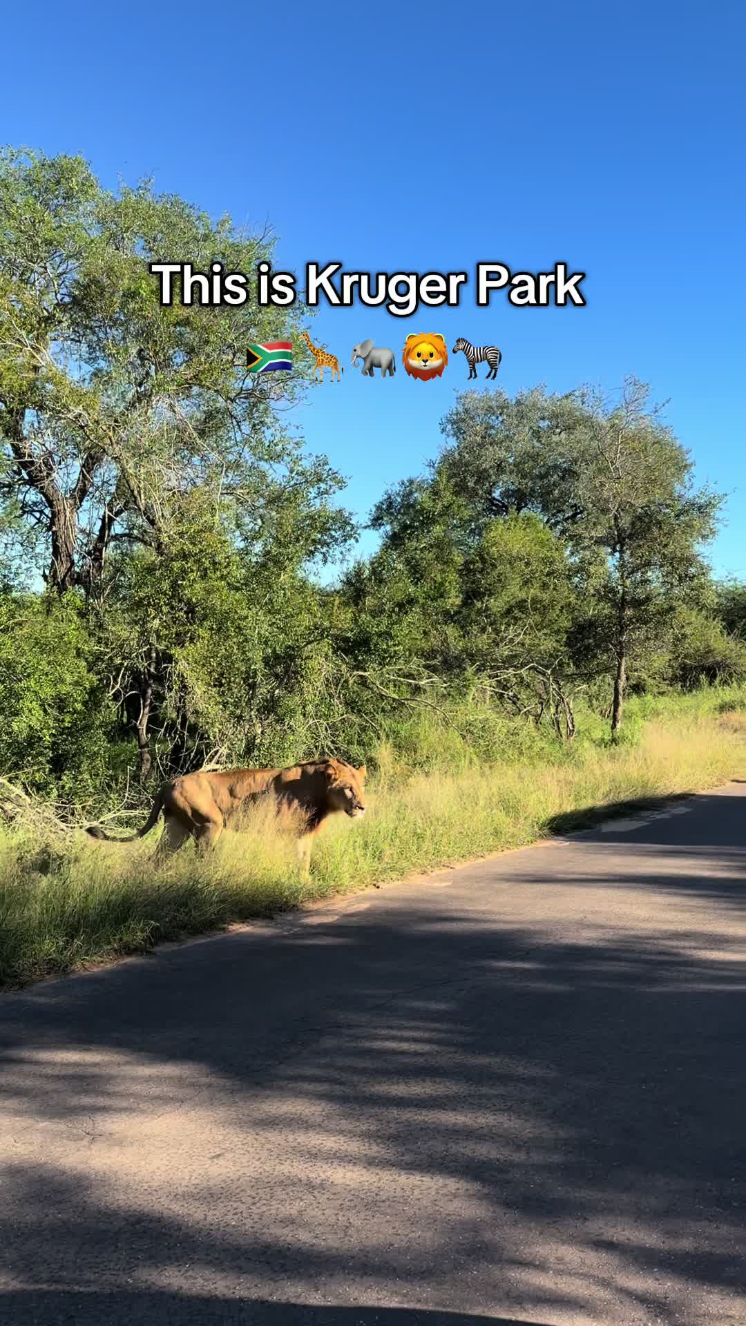 Kruger National Park