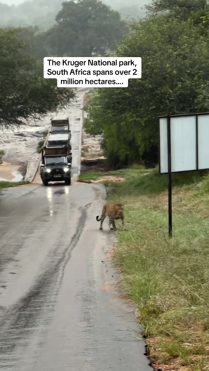 Kruger National Park
