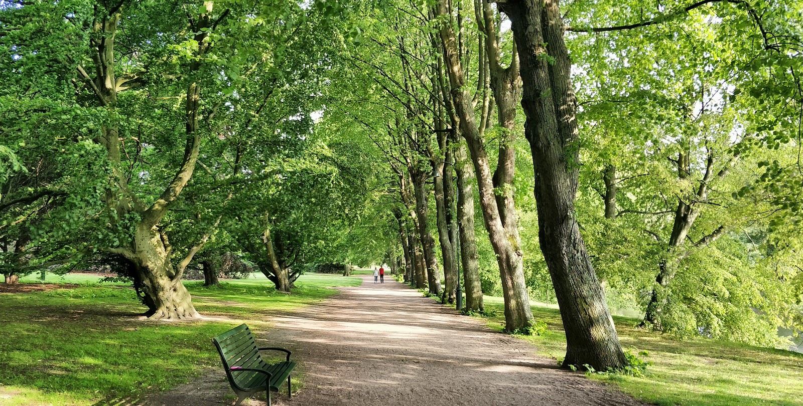Kungsparken (Королевский парк)