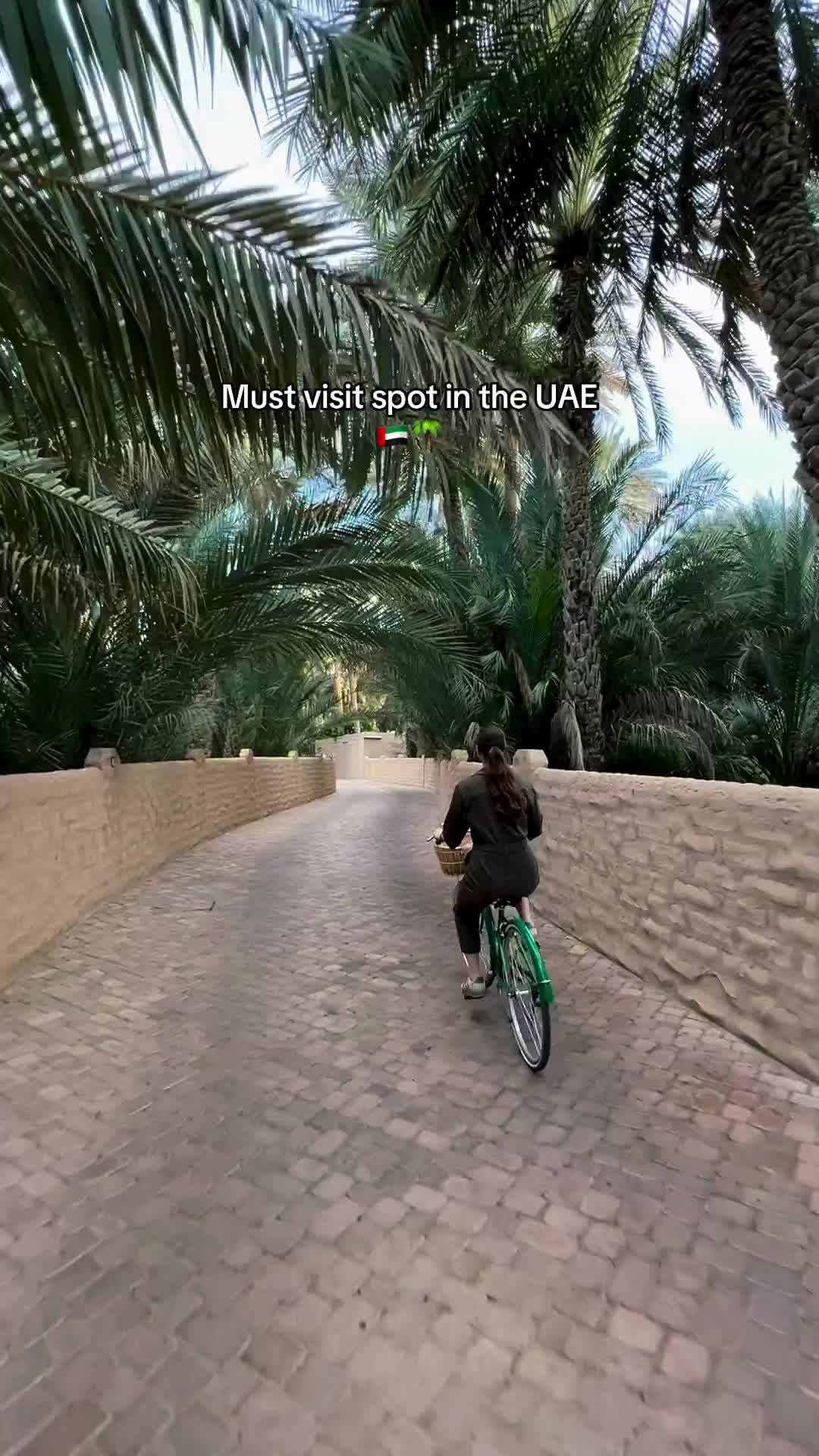 אל עין אואזיס