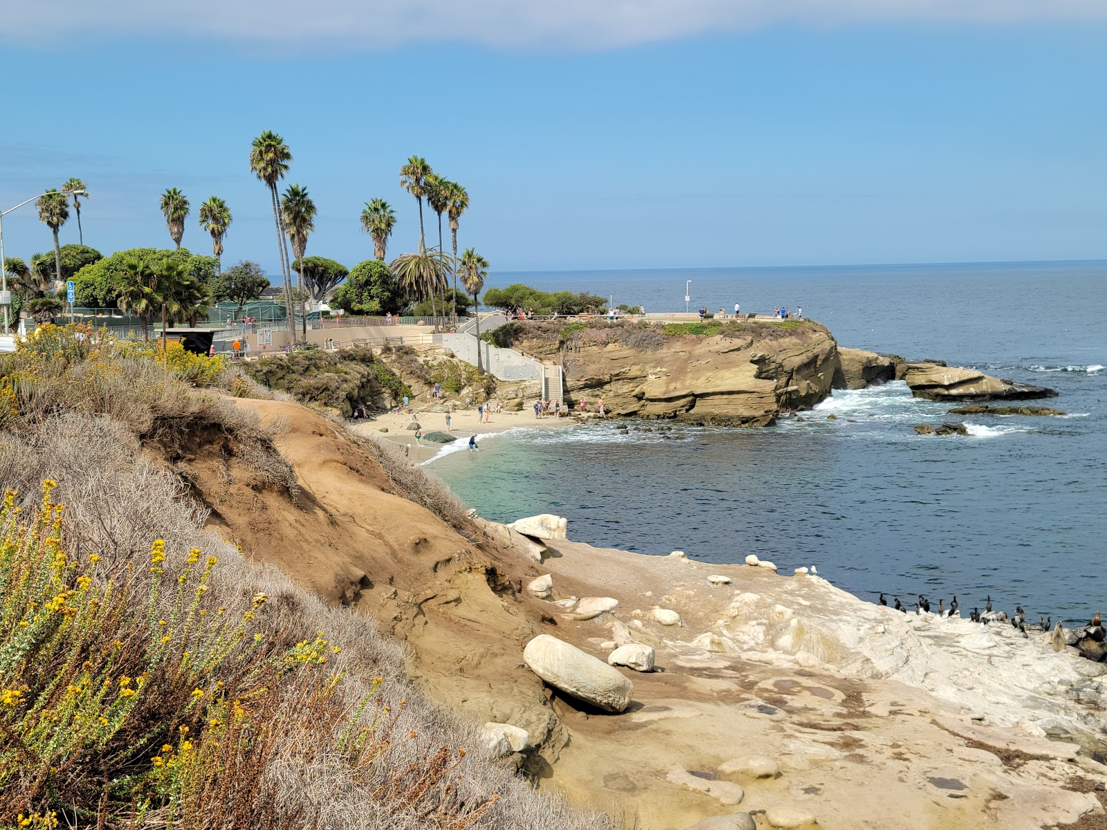 La Jolla Cove