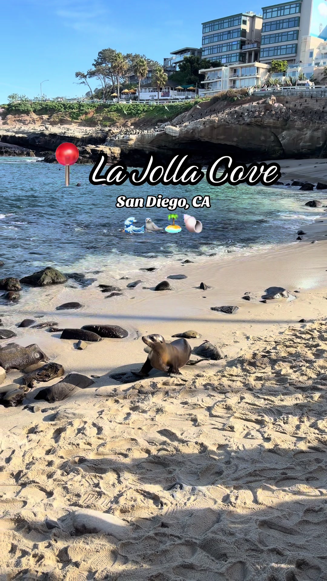 La Jolla Cove