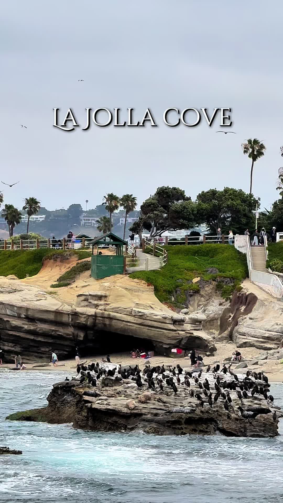 La Jolla Cove