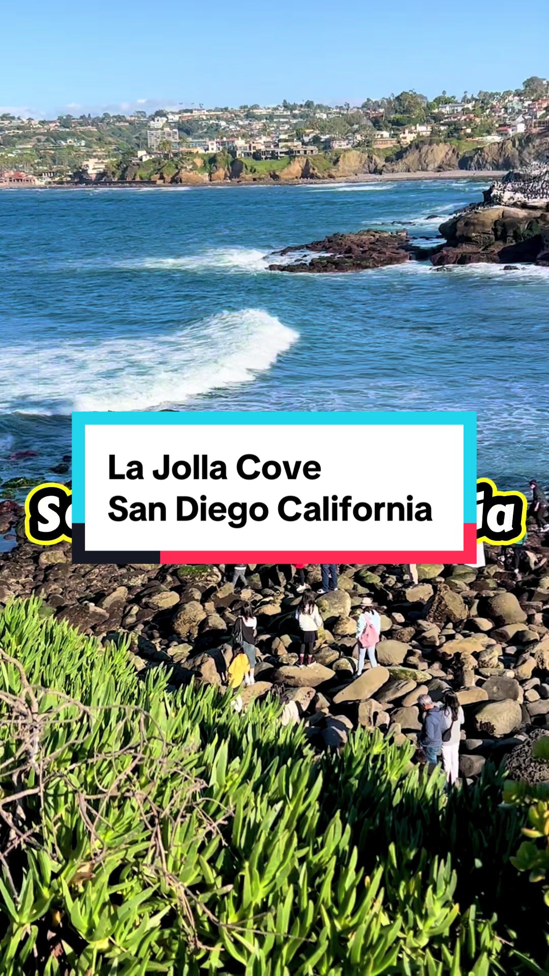 La Jolla Cove
