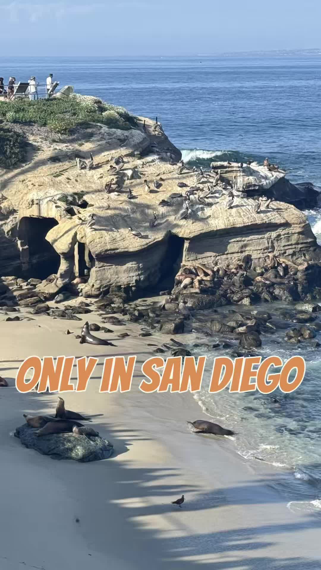La Jolla Cove