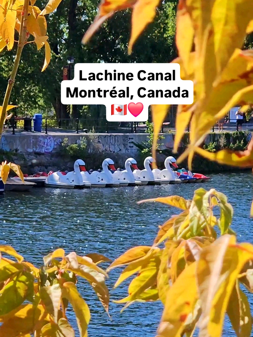 Lachine Canal National Historic Site