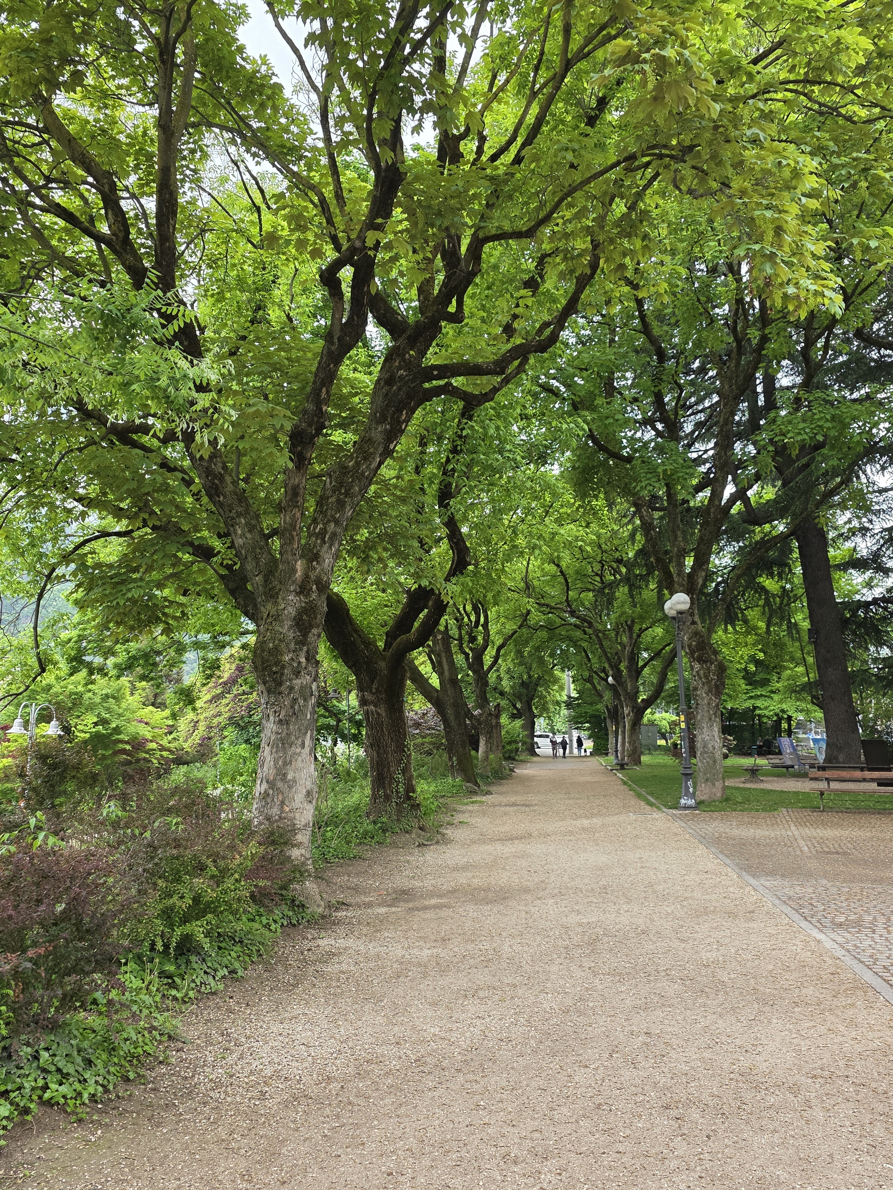 Talvera Park (Parco Petrarca)