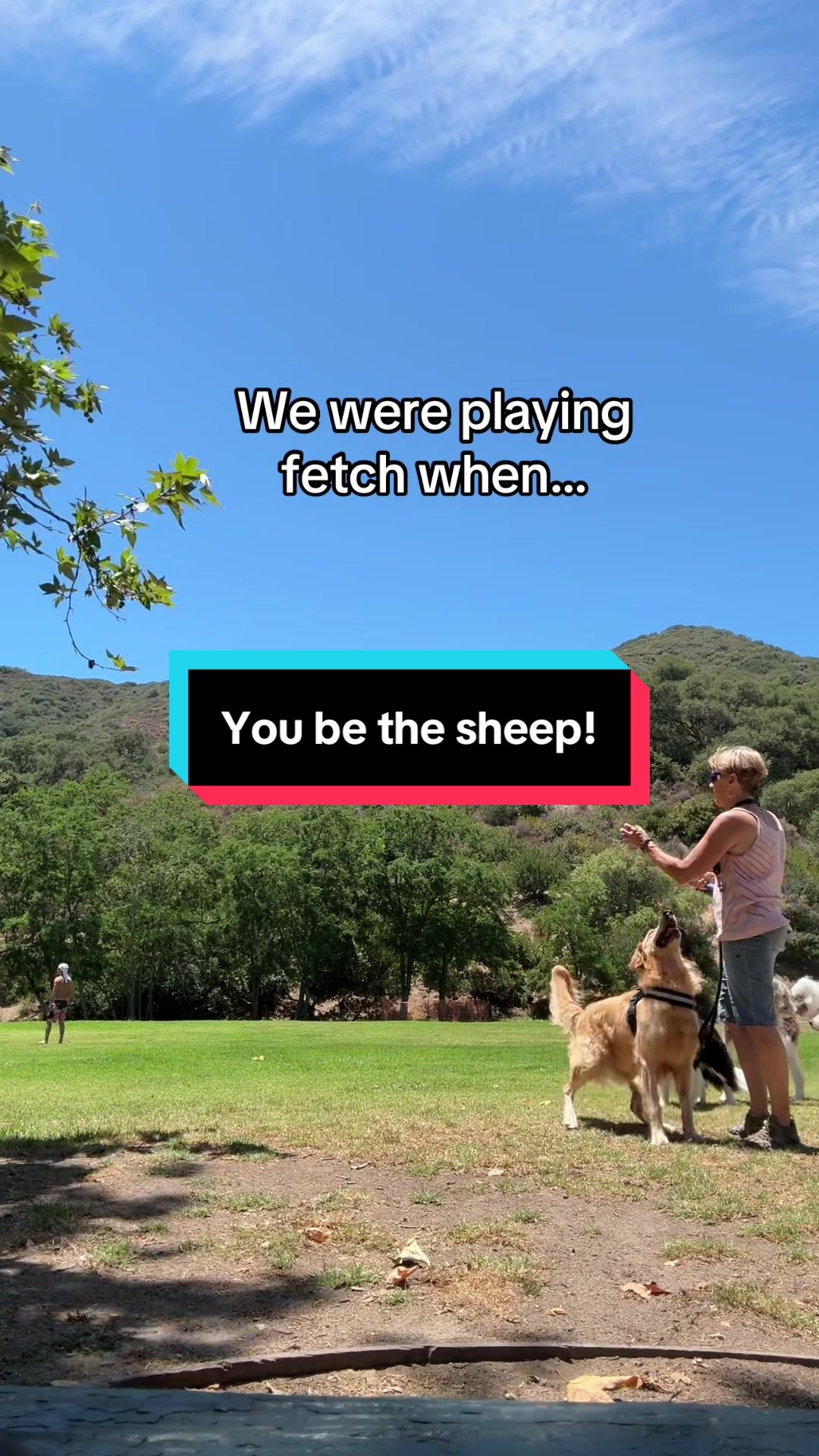 Laguna Beach Dog Park