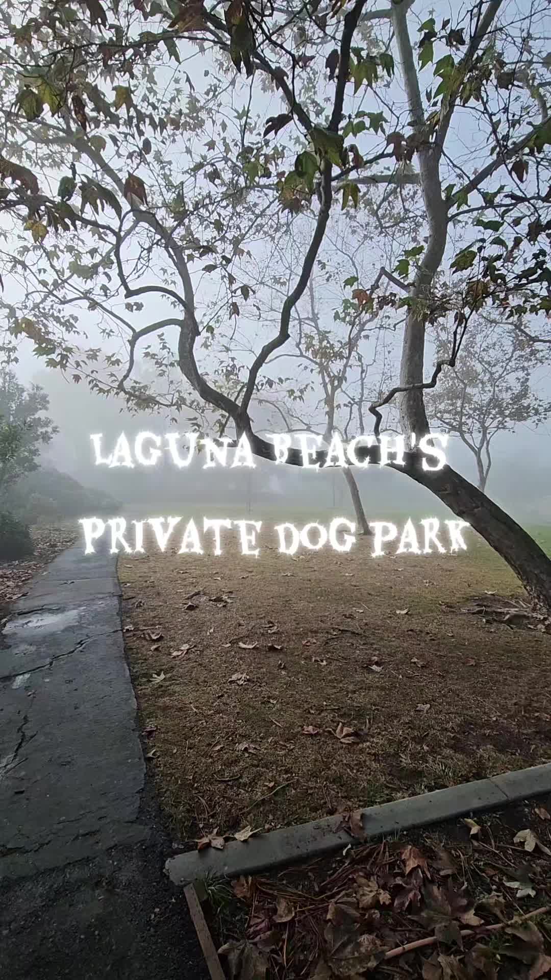 Laguna Beach Dog Park