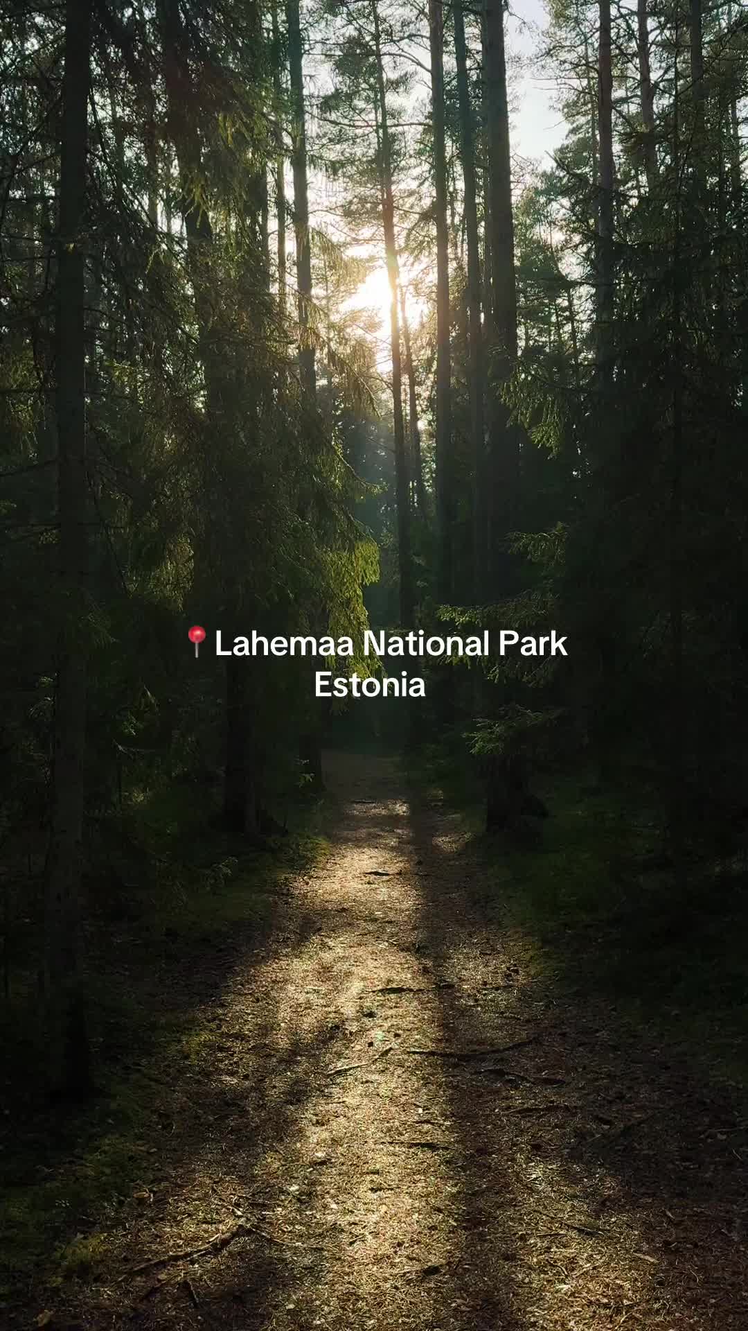 Lahemaa National Park (הפארק הלאומי לההמאה)