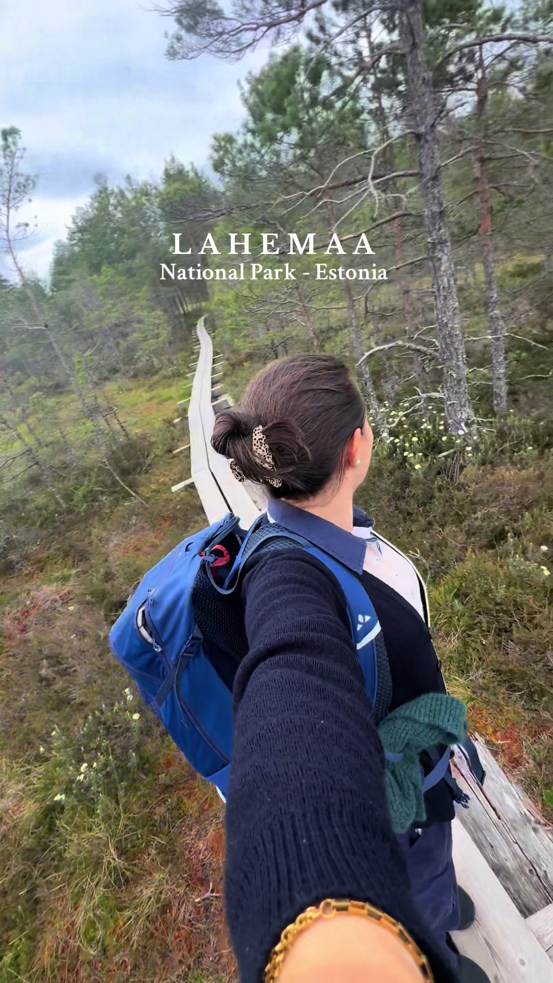 Lahemaa National Park (הפארק הלאומי לההמאה)