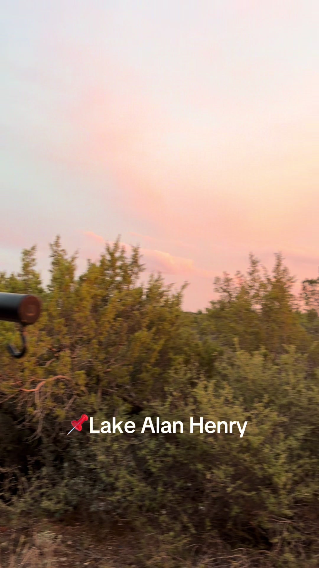 Lake Alan Henry