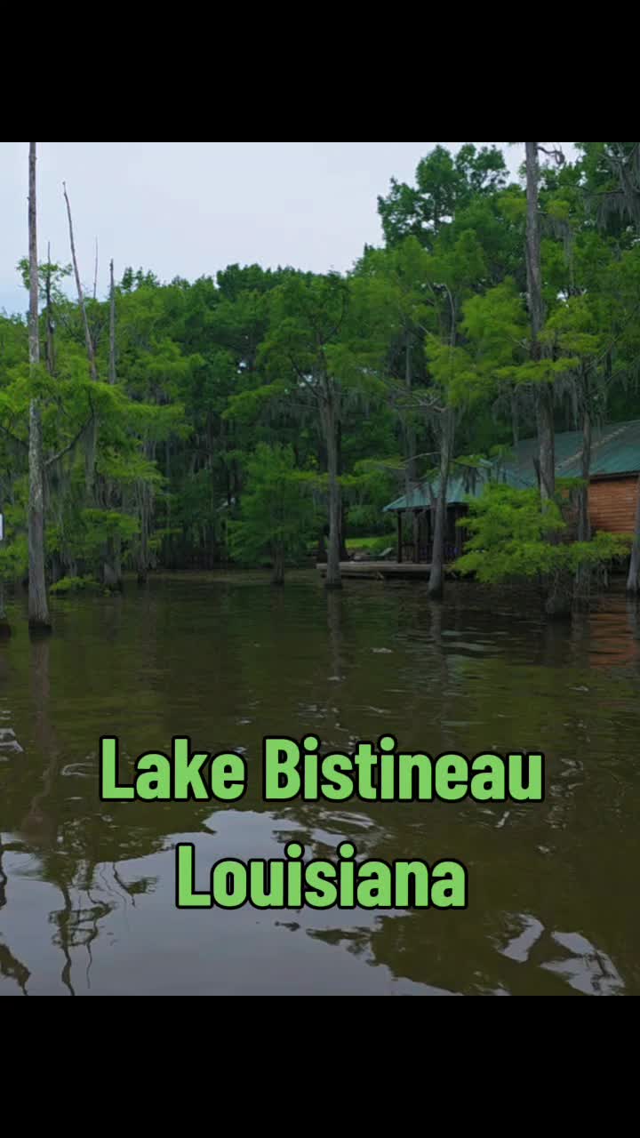 Lake Bistineau State Park, Doyline