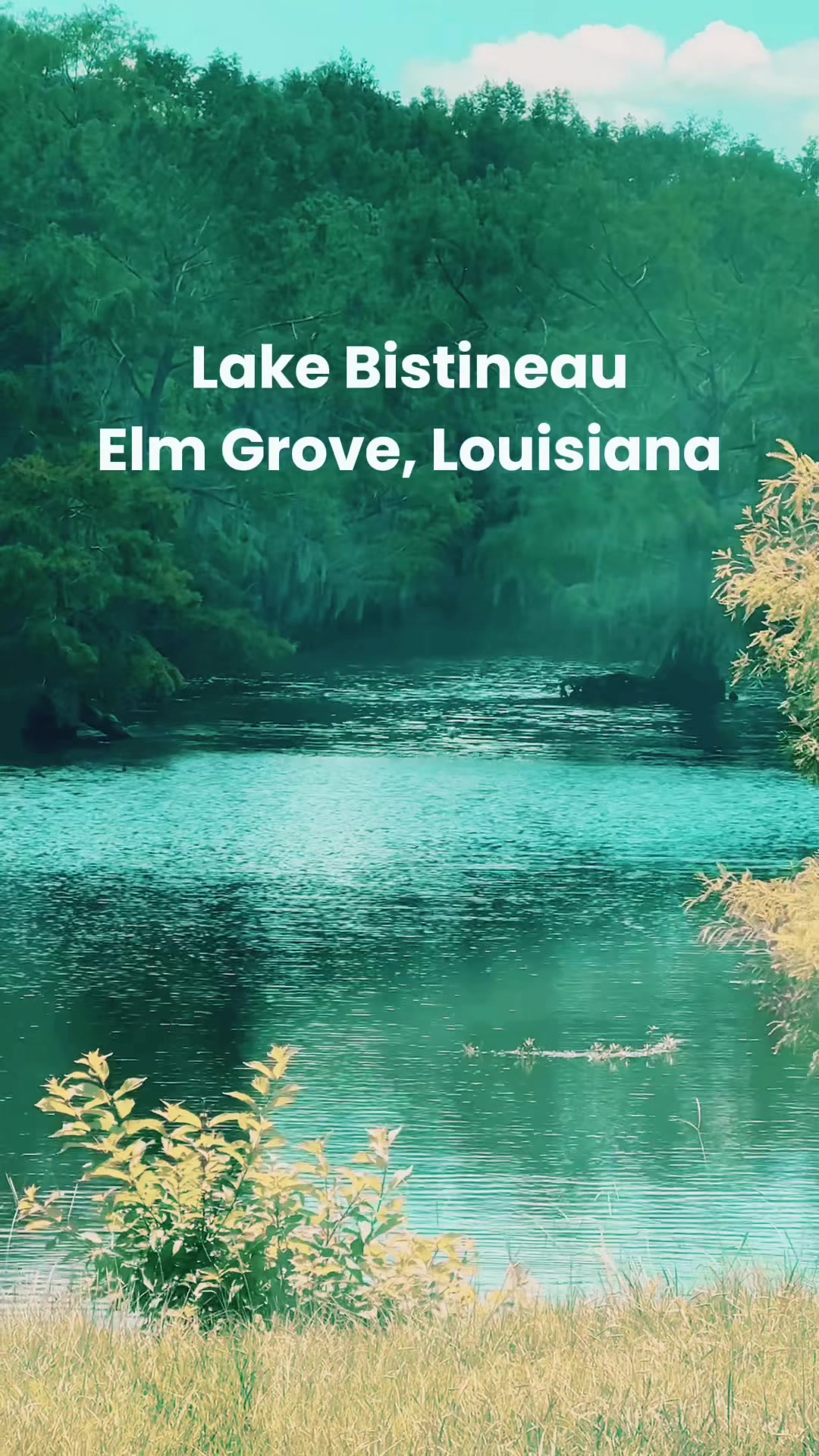 Lake Bistineau State Park, Doyline