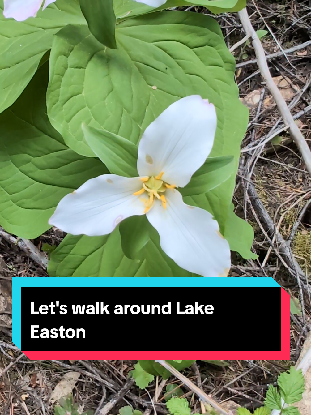 Lake Easton State Park