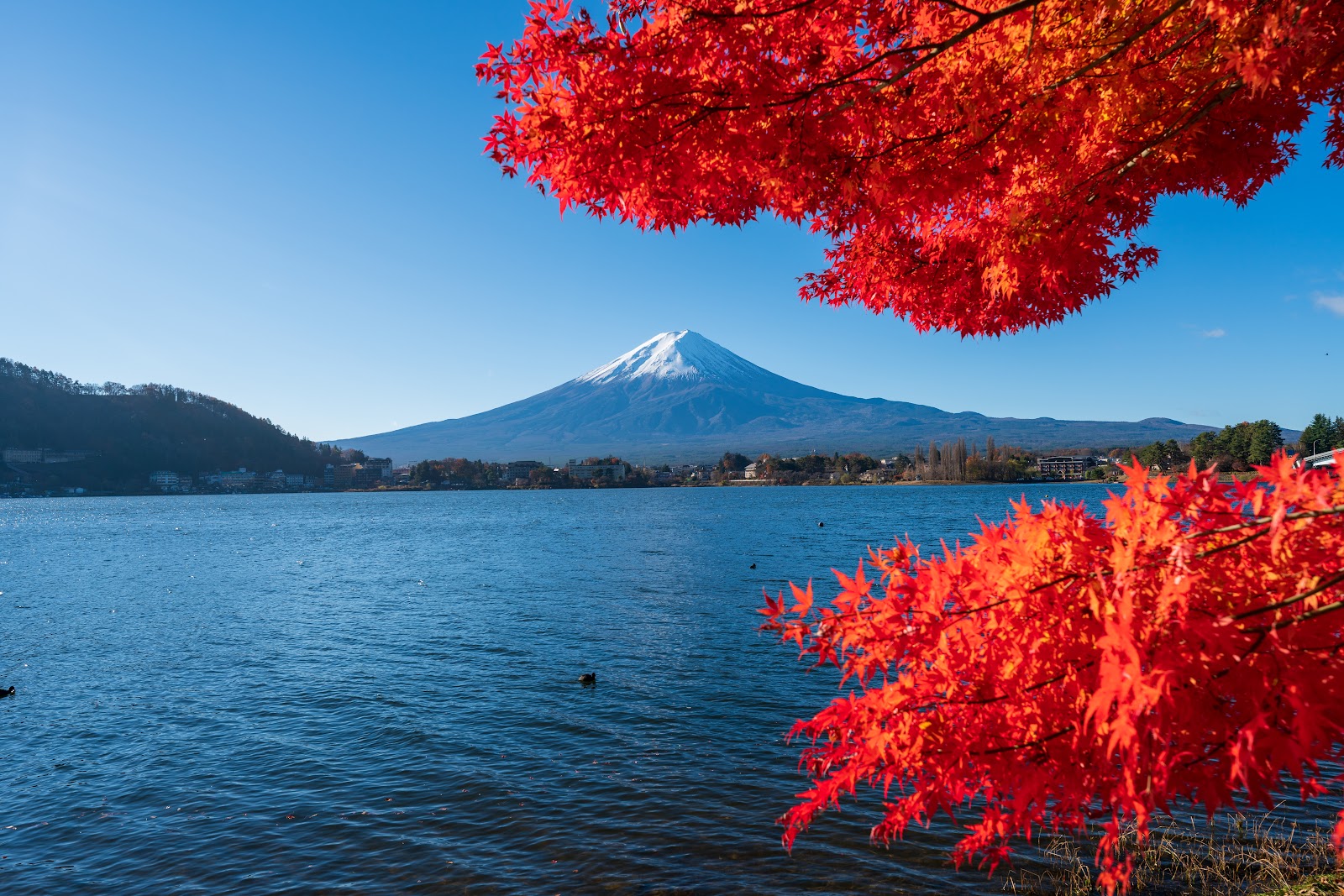 Kawaguchiko Lake (Lake Kawaguchi)