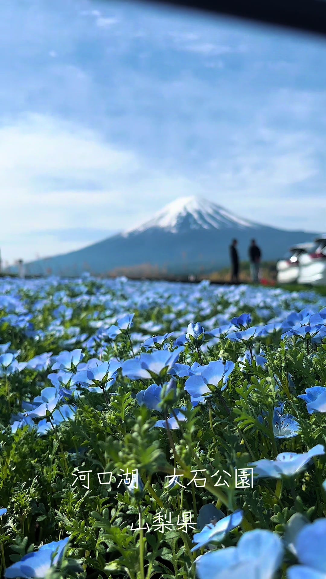 Lake Kawaguchi