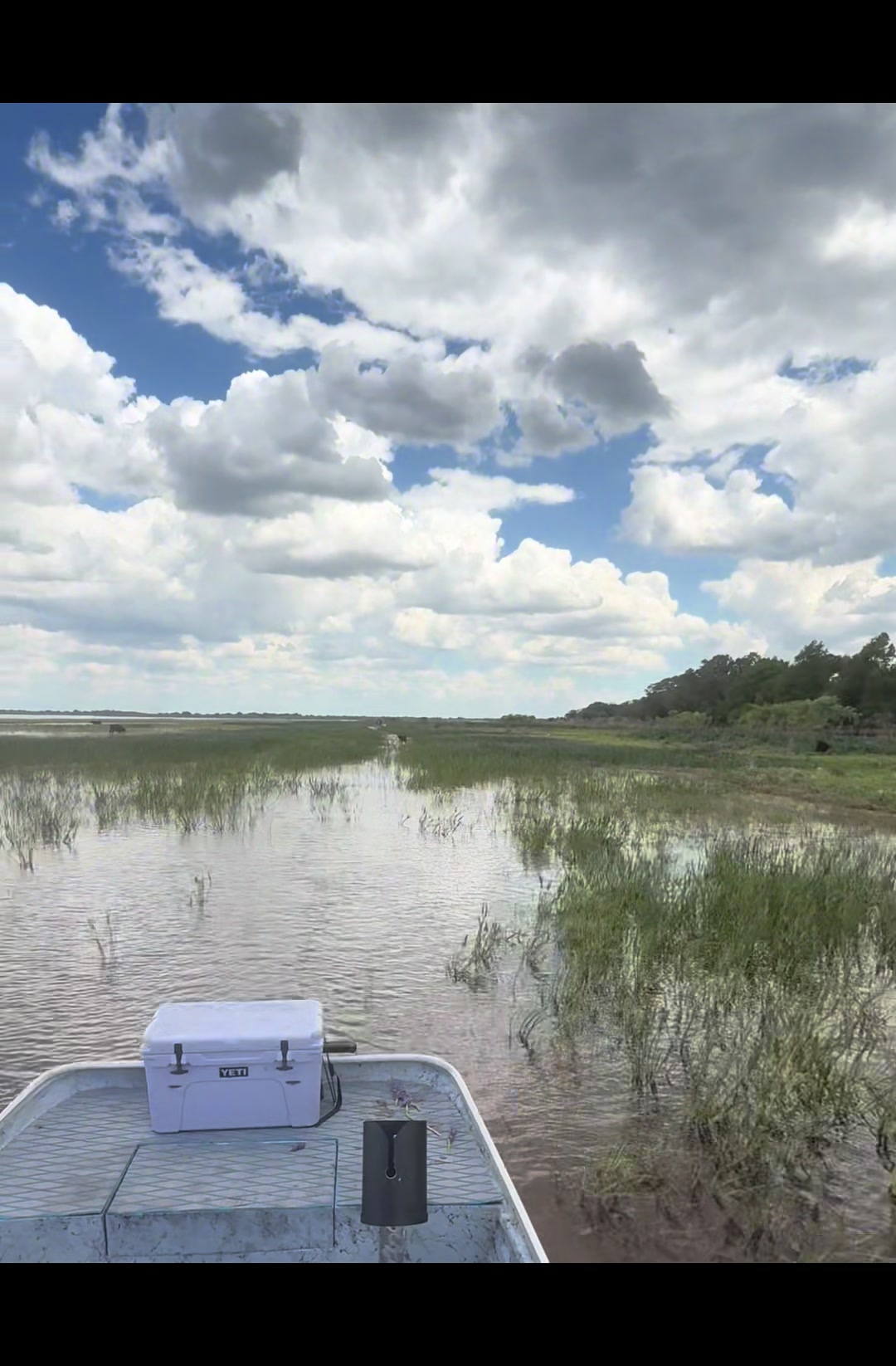 Lake Kissimmee State Park