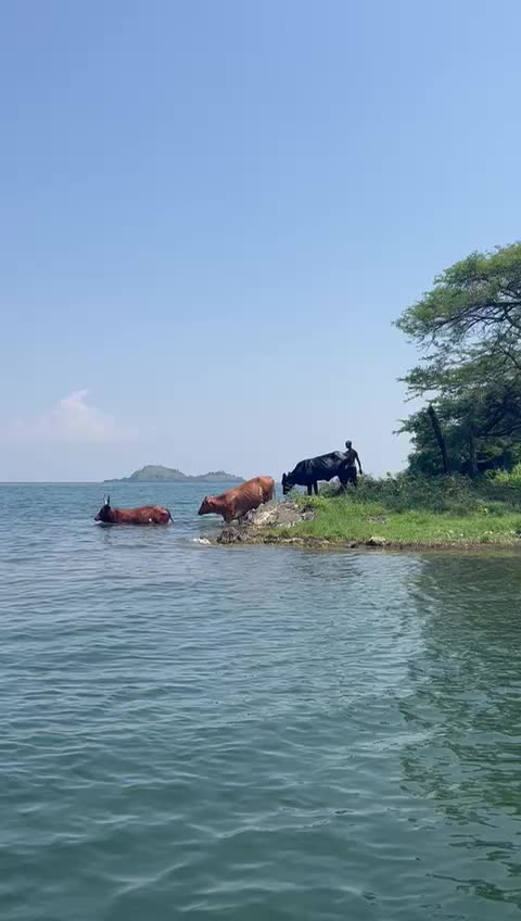 Lake Kivu