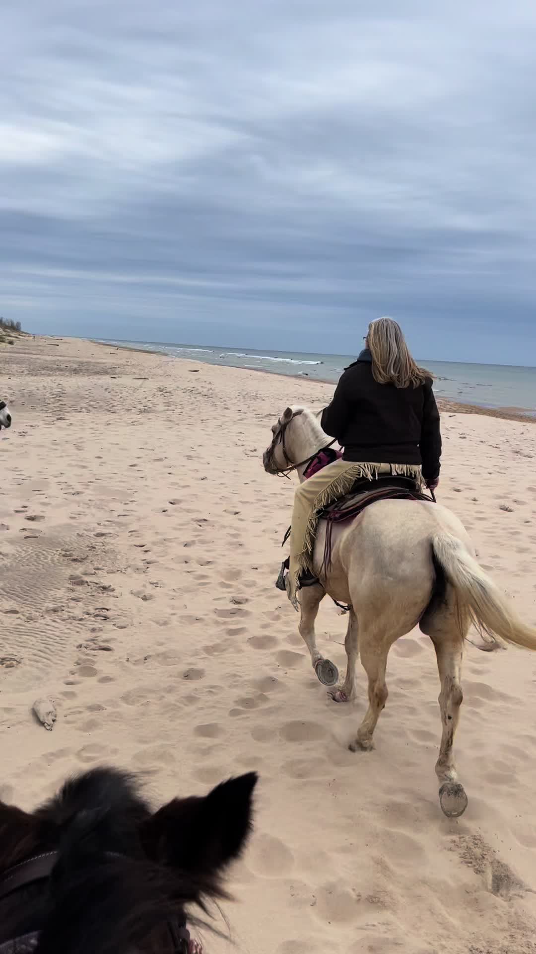 Lake Michigan Shoreline, MI