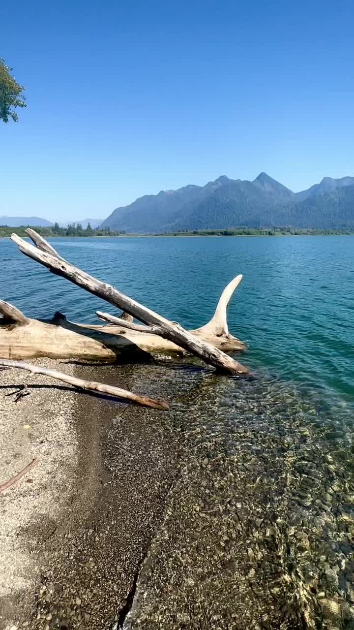 Lake Quinault