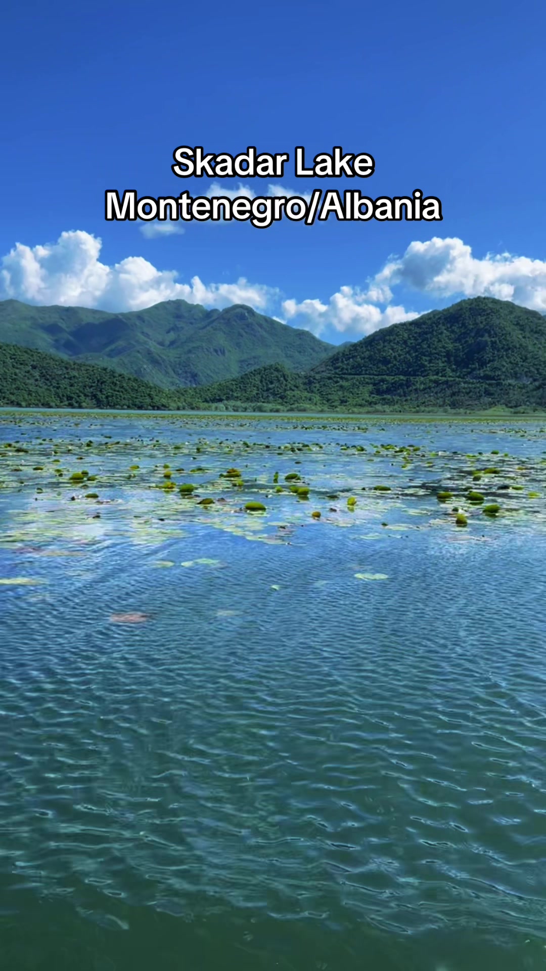 Lake Skadar – Virpazar (אגם סקאדר/וירפזאר)