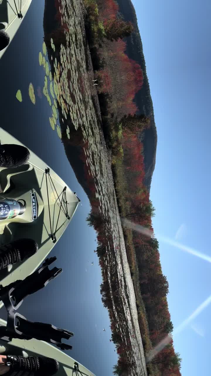 Lake St. Catherine