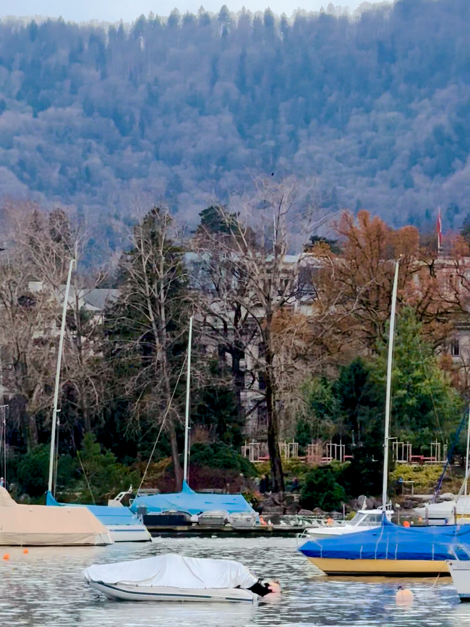 Lake Zurich (Bürkliplatz Pier area)