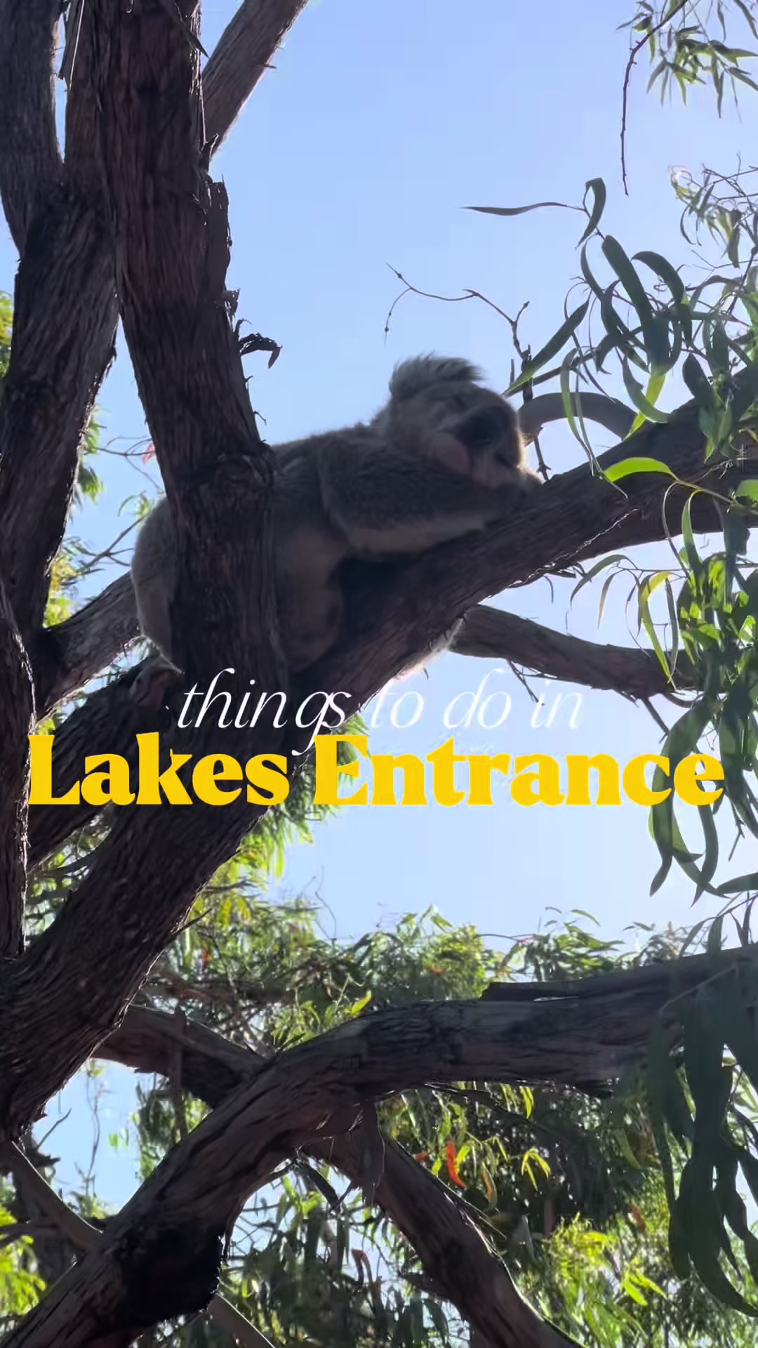 Lakes Entrance