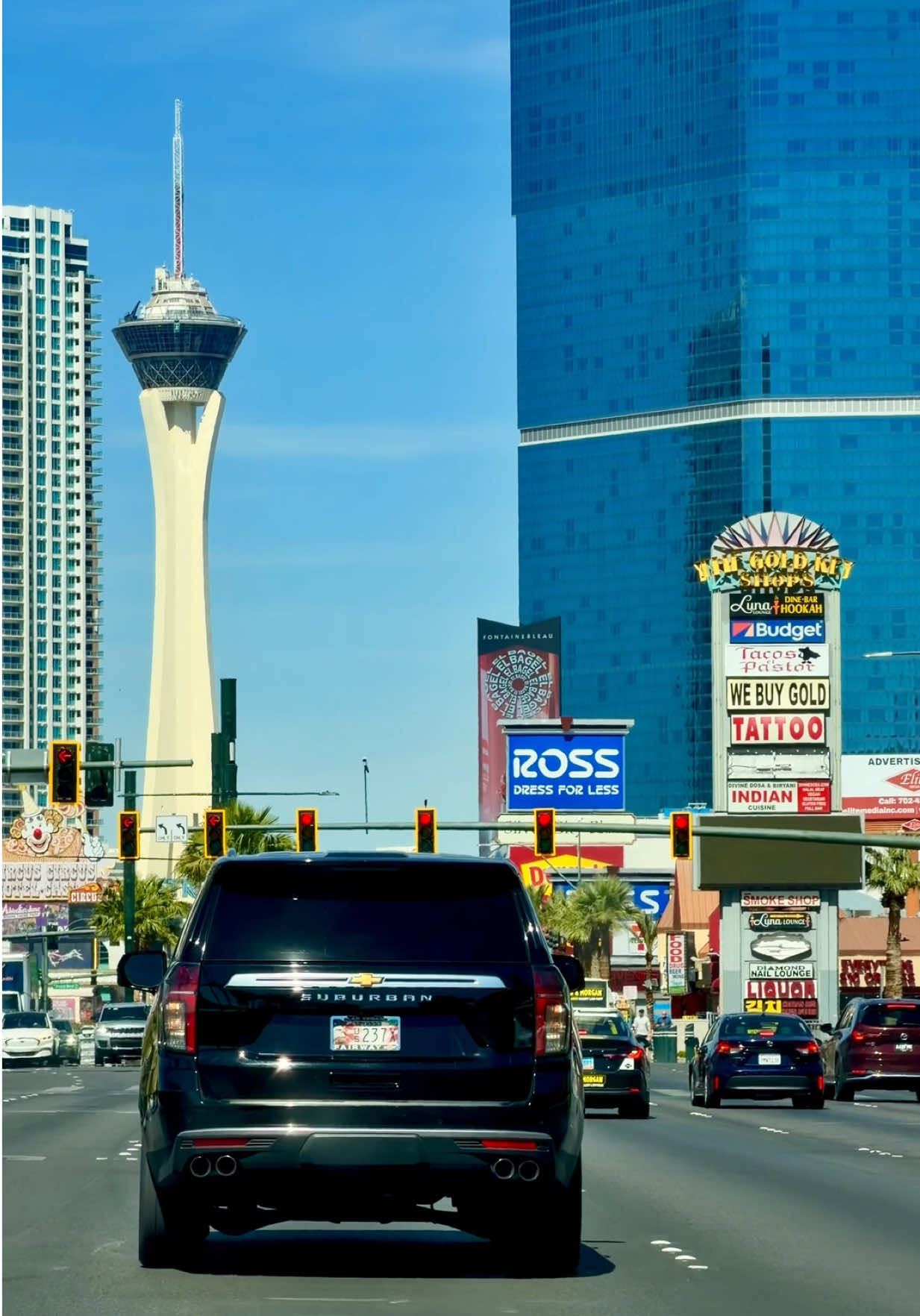 Las Vegas, NV