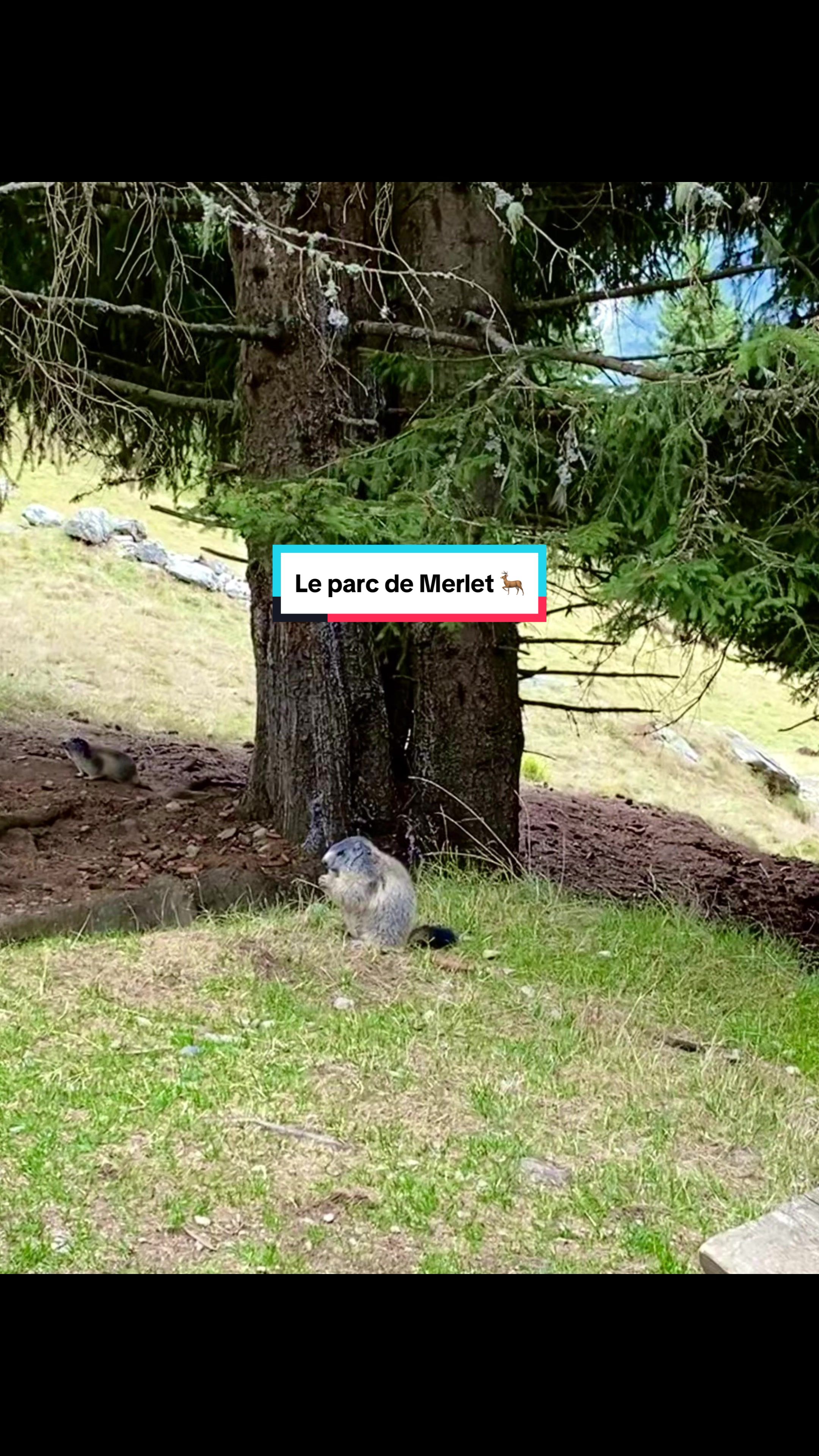 Le Parc de Merlet