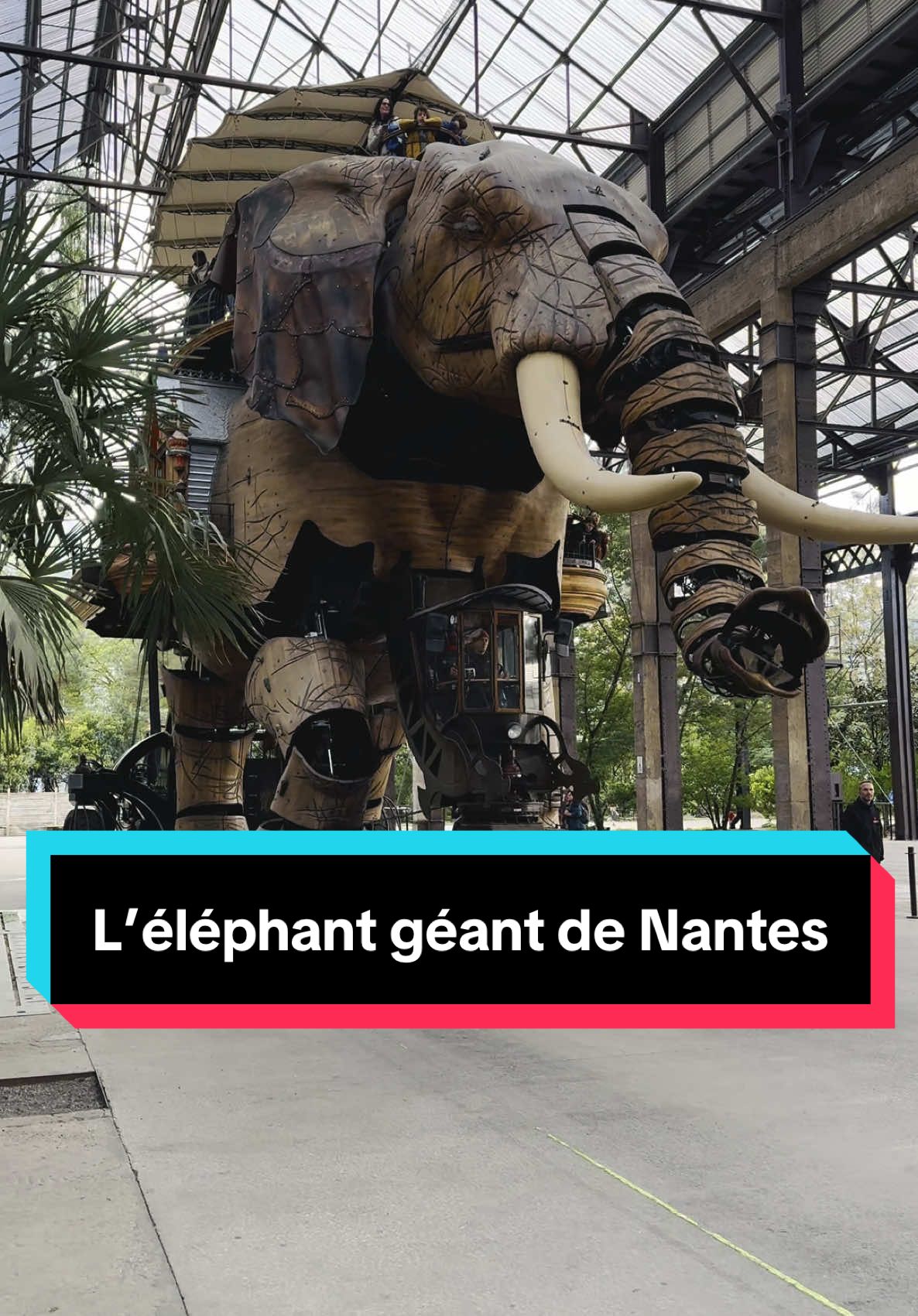 Les Machines de l’île