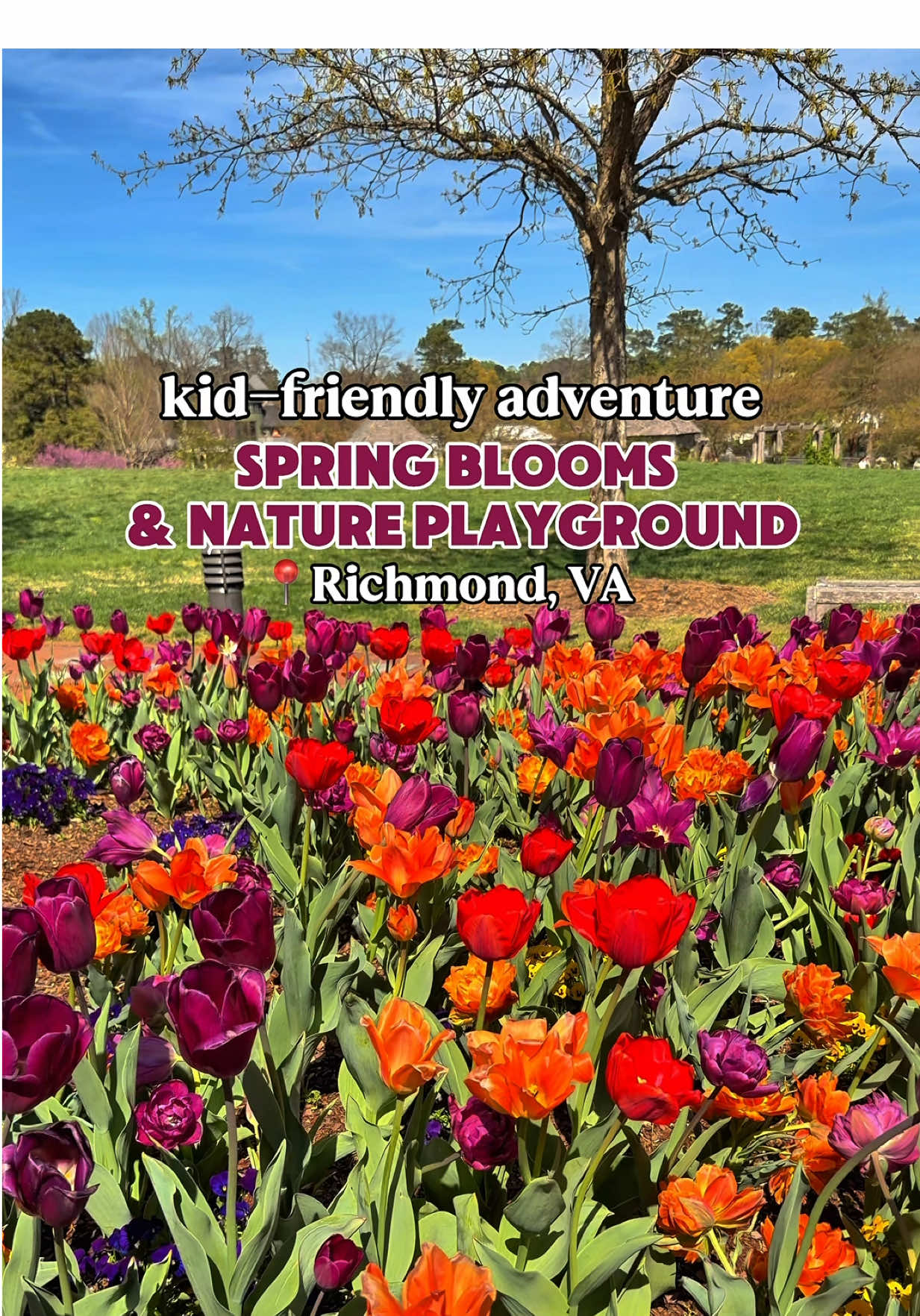 Lewis Ginter Botanical Garden
