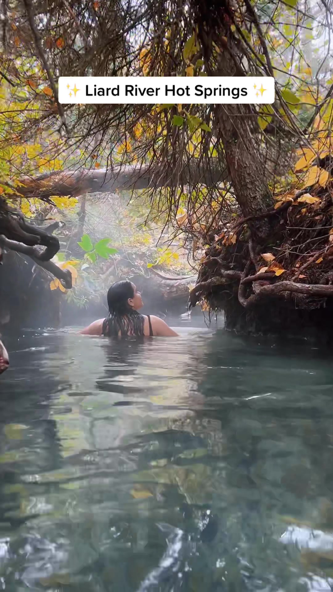 Liard River Hot Springs Provincial Park