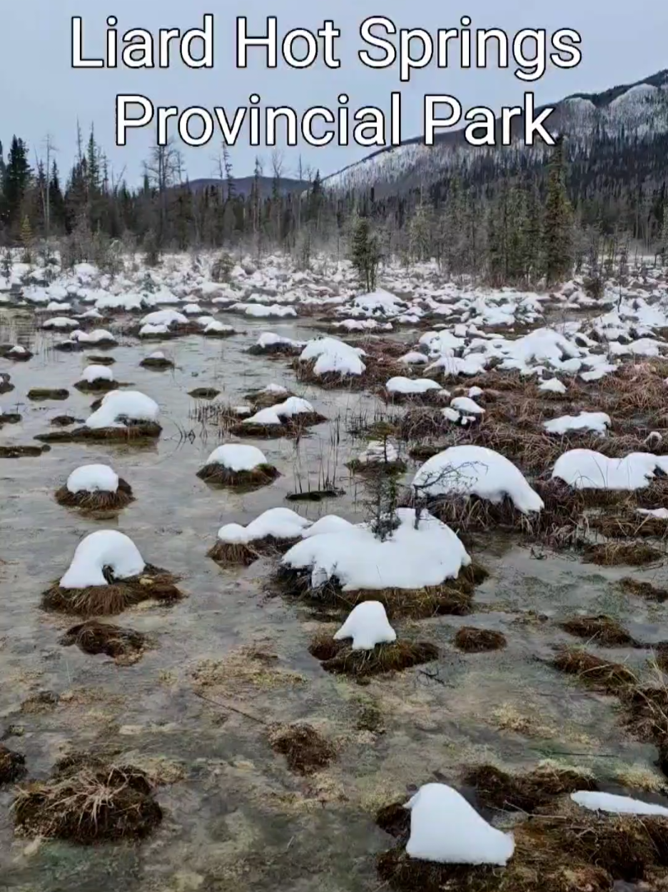 Liard River Hot Springs Provincial Park