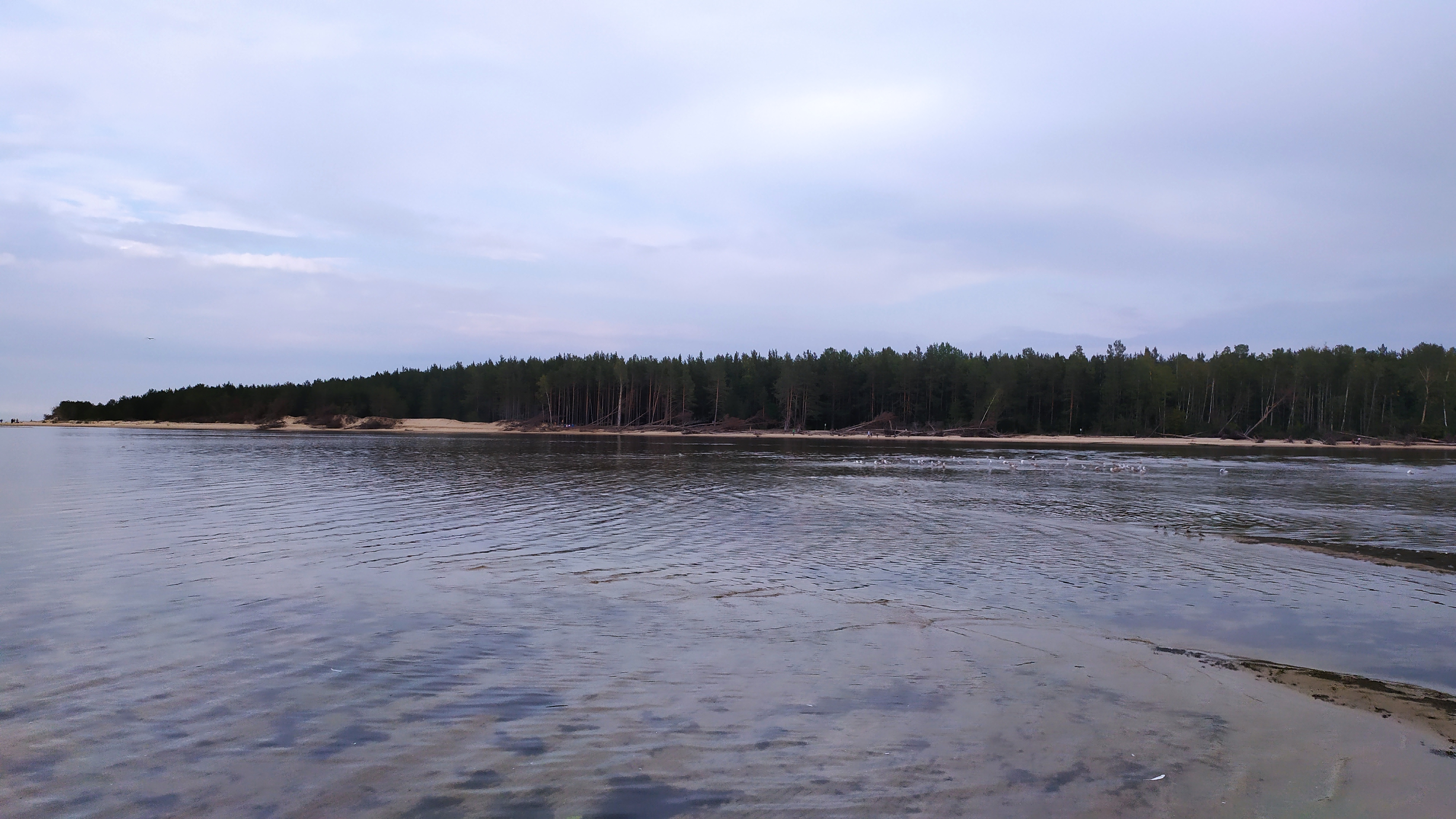 Lielupe Nature Park