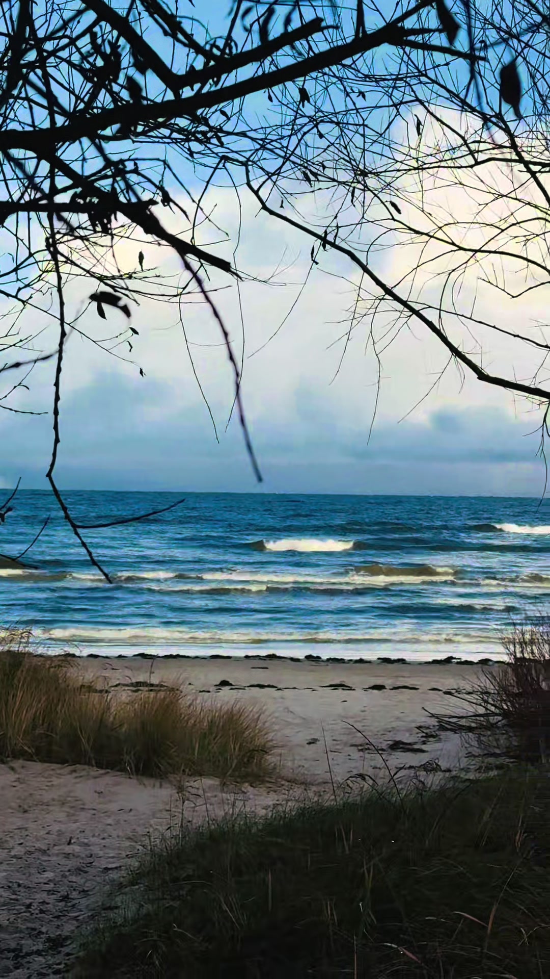 Lielupe Nature Park