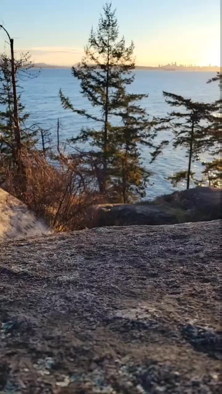 Lighthouse Park