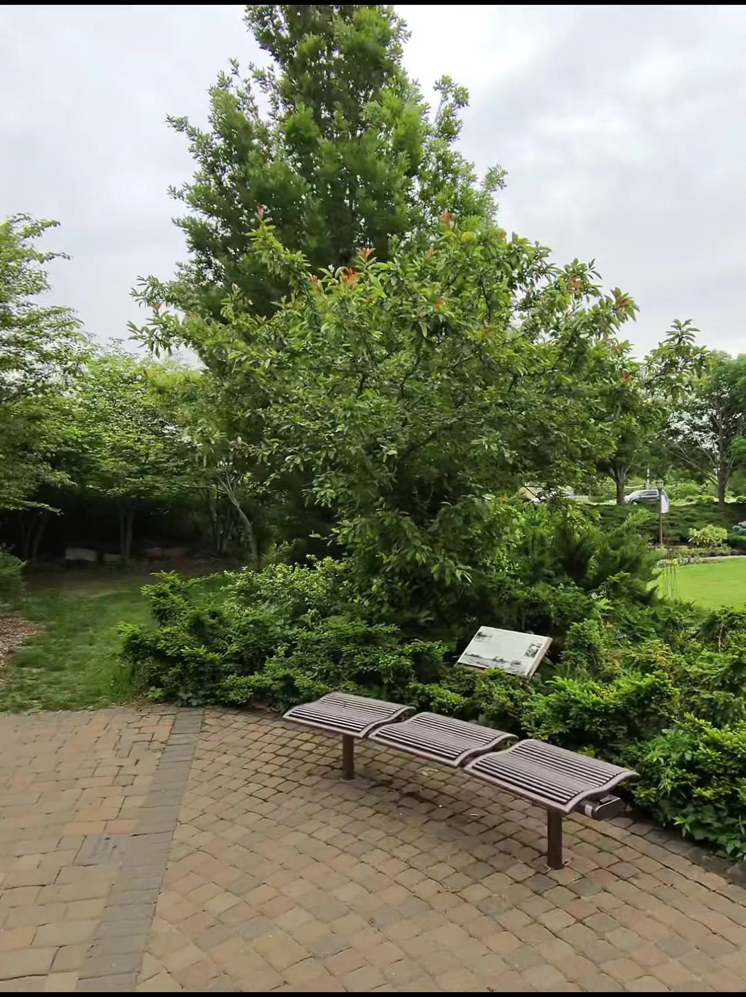 Lincoln's Sunken Gardens