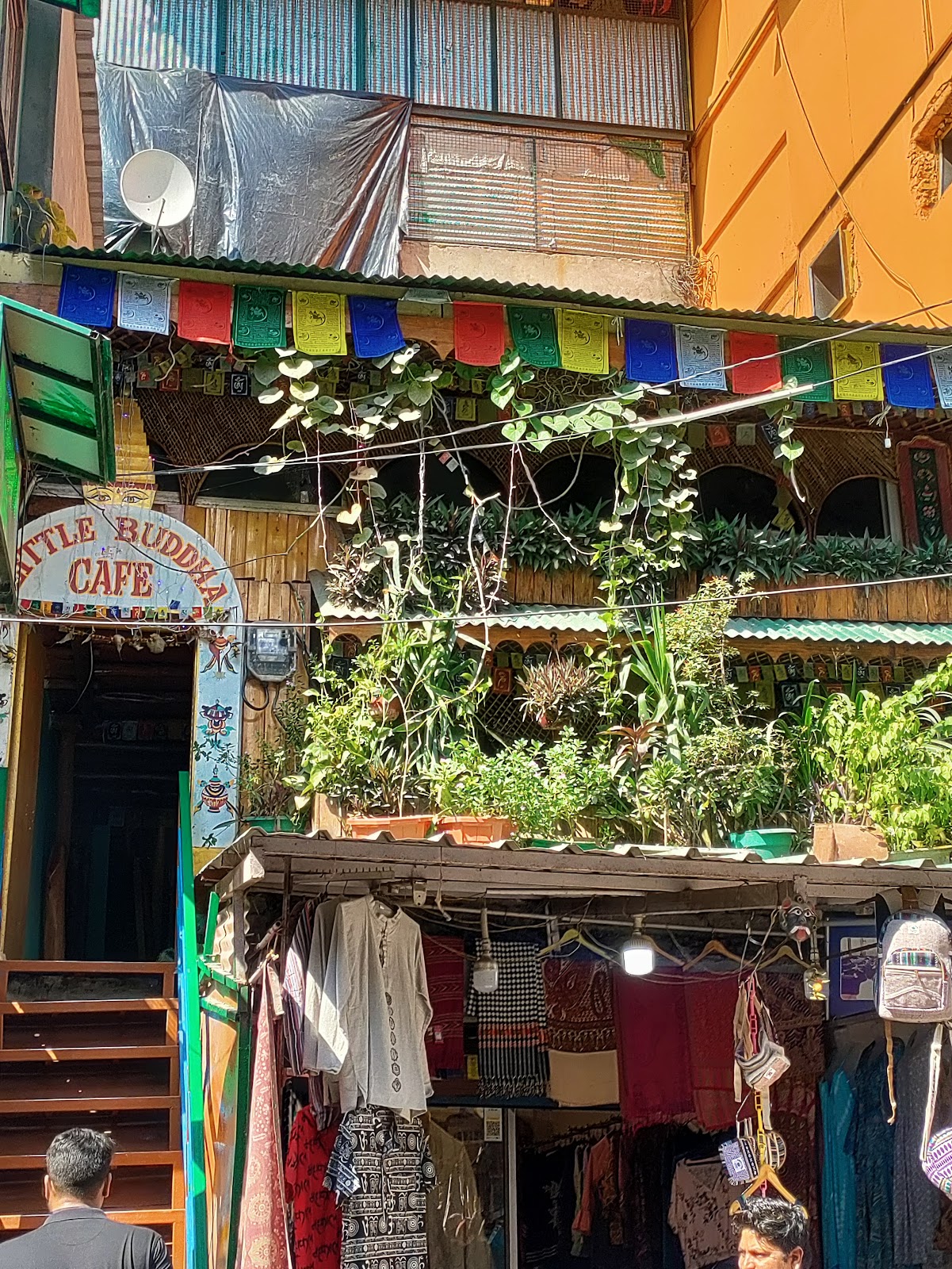 Picture for Little Buddha Cafe