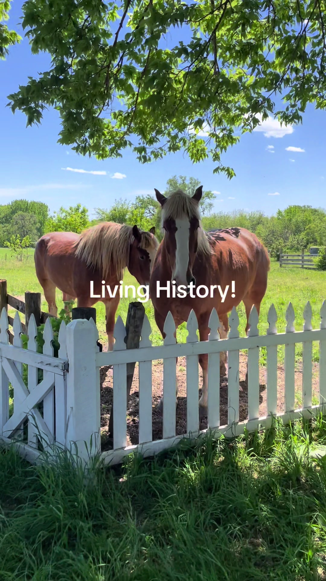 Living History Farms