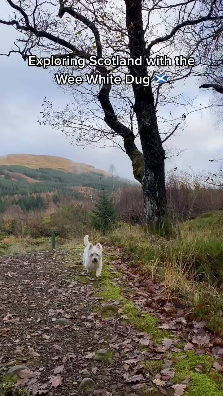 Loch Awe