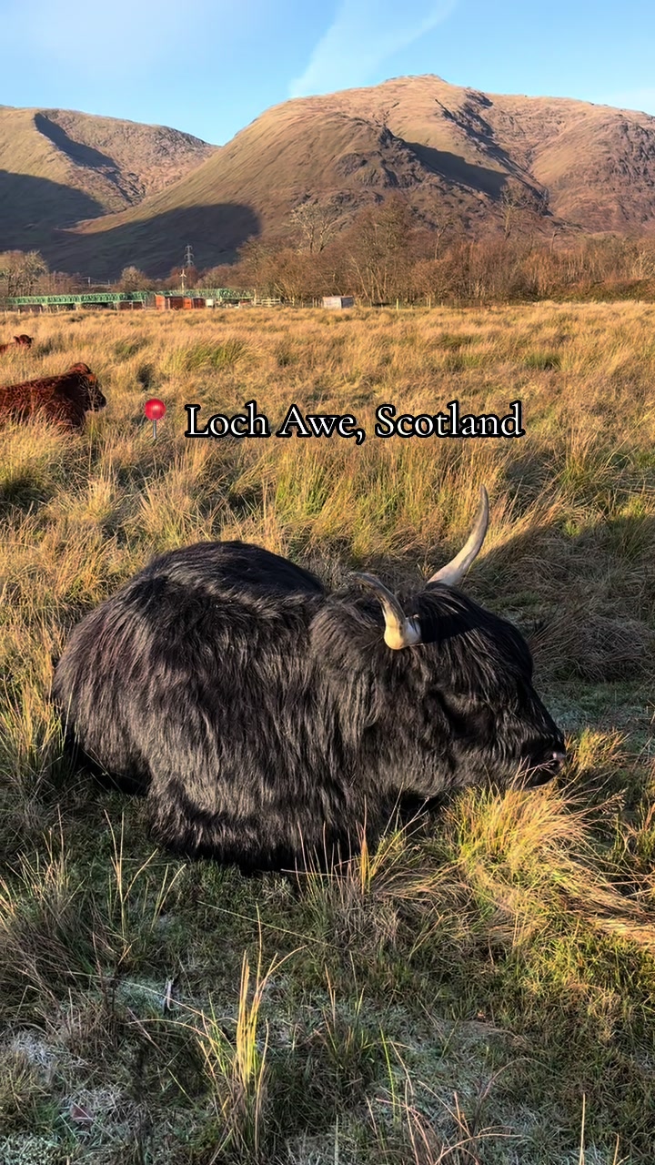 Loch Awe