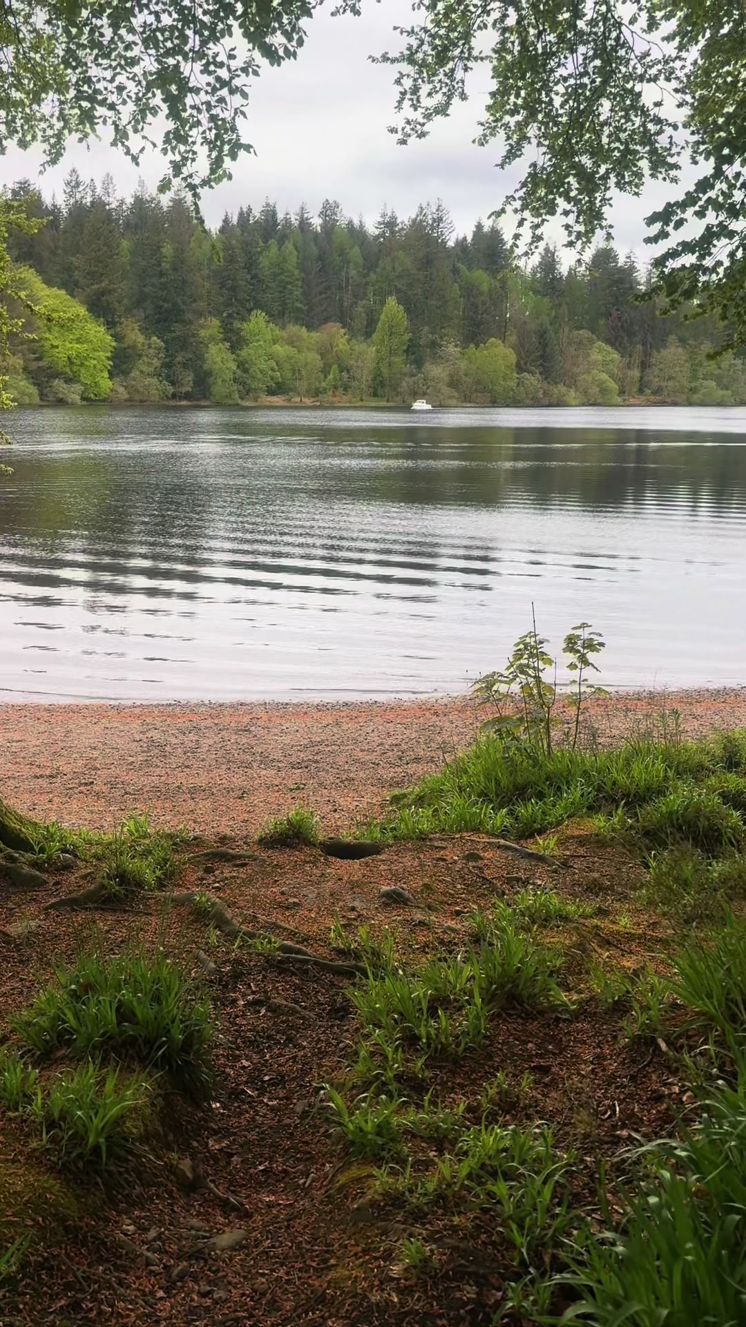 Loch Ken