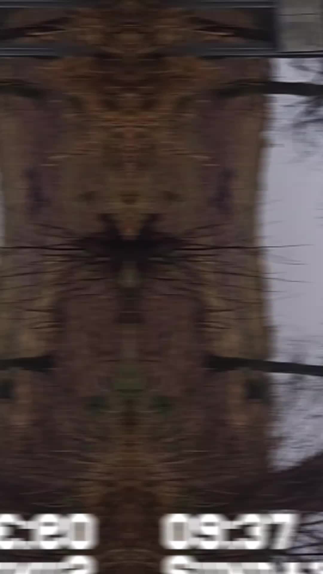 Loch Ken